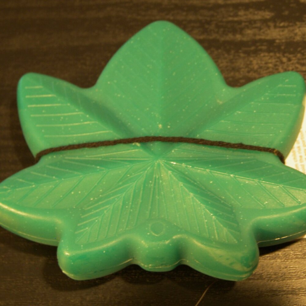 Green Leaf Dog Chew Toy